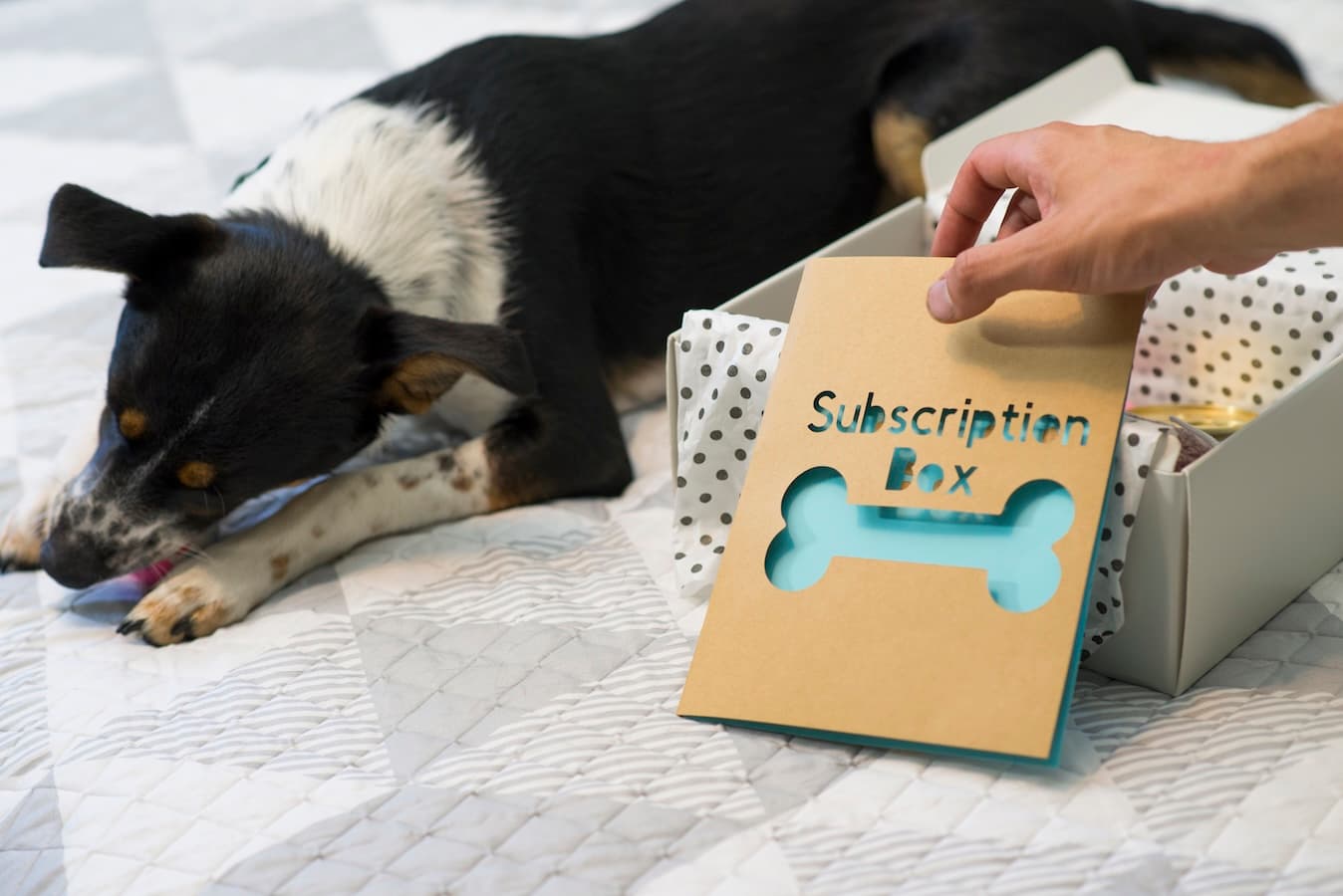 Subscription Box Processing